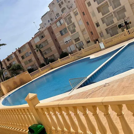 Oasis Paradise *
