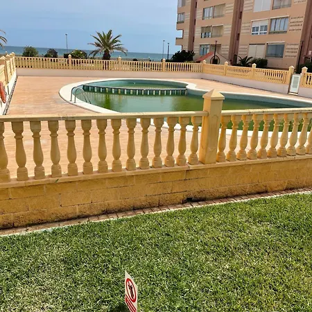 Oasis Paradise